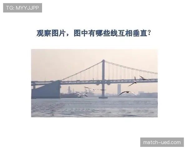 垂直起跳规则解析:什么是合法防守中的垂直起跳? 垂直起跳规则解析:什么是合法防守中的垂直起跳?