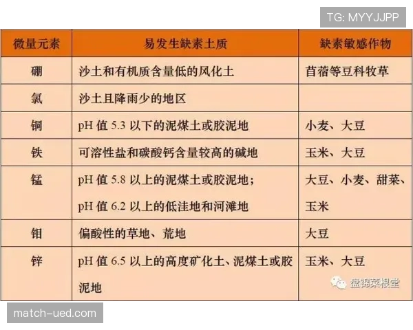 青少年规则:换人重入与替补人数判定要点 青少年规则:换人重入与替补人数判定要点